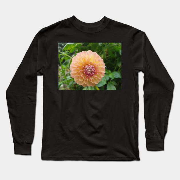 Pastel Pink and Yellow Dahlia Long Sleeve T-Shirt by claire-l-page